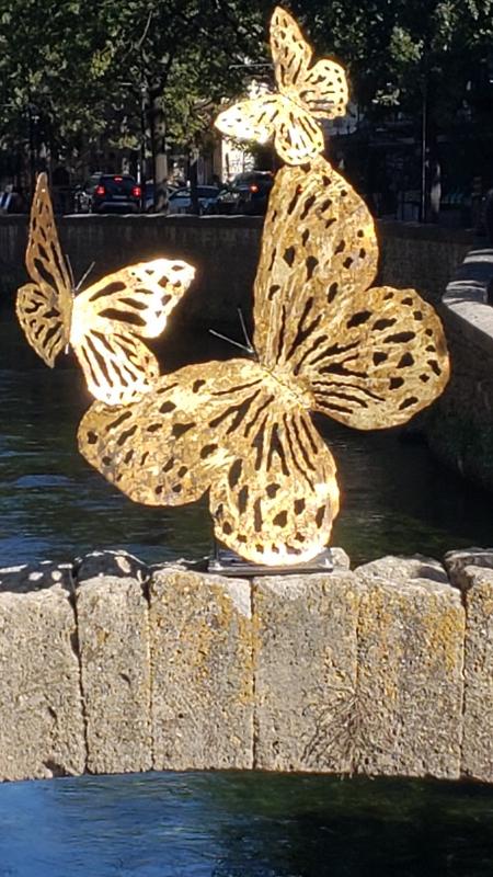 JANVIER 2026 "A nouvel an, nouvel élan !" C. Heurtault