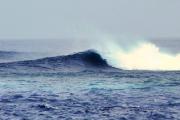 ATELIER Le Yin-Yang des vagues de l'Océan