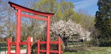 AVRIL 2025 "Celui qui préfère le sourire à la colère est toujours le plus fort" Proverbe japonais